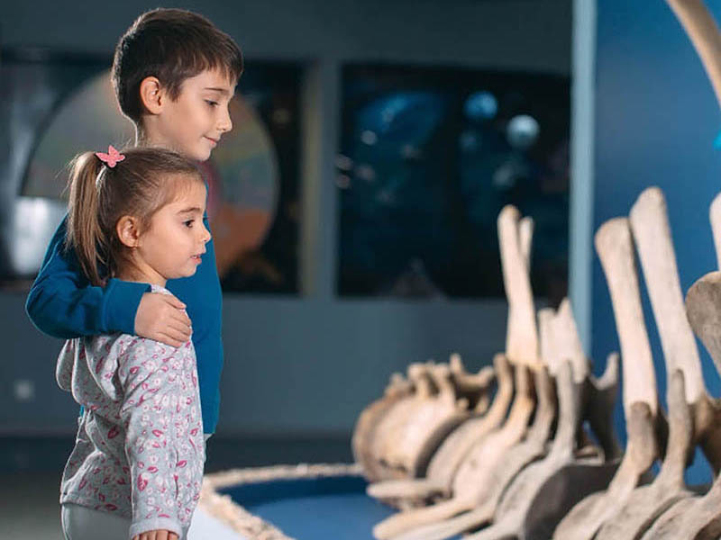 a boy and a girl siblings holding each other and having a look at a dinosaur skeleton