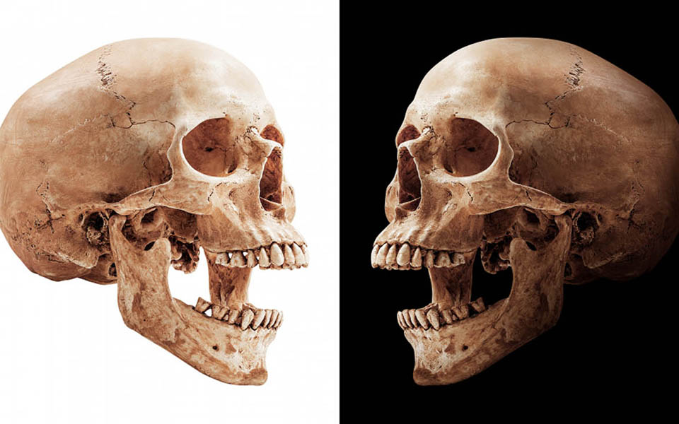 two human skulls facing each other