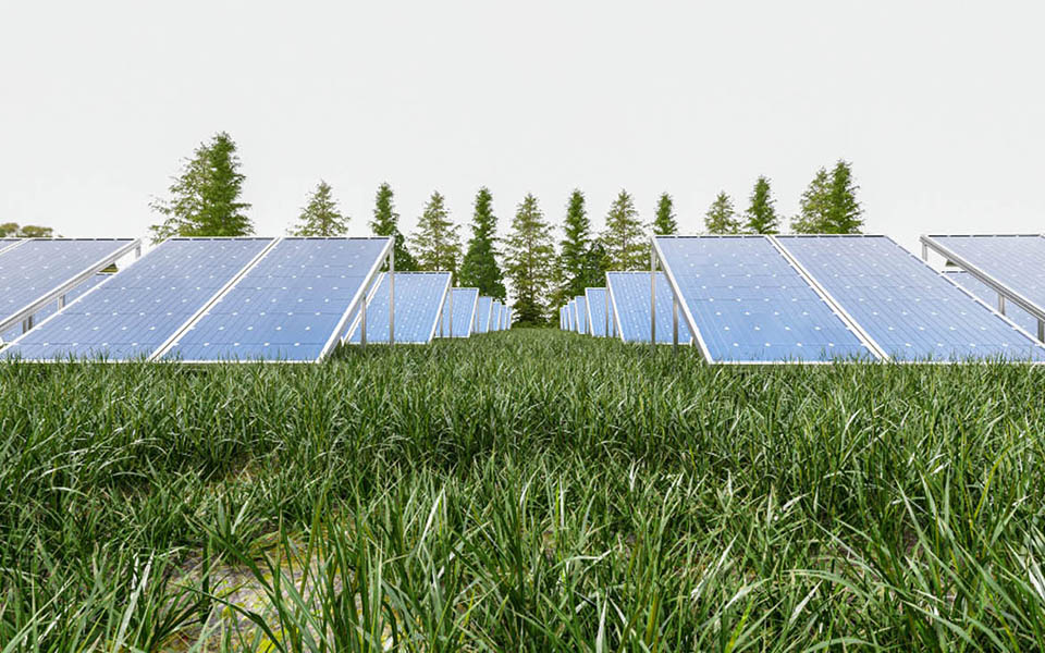 many solar panels lying on the ground, near a forrest